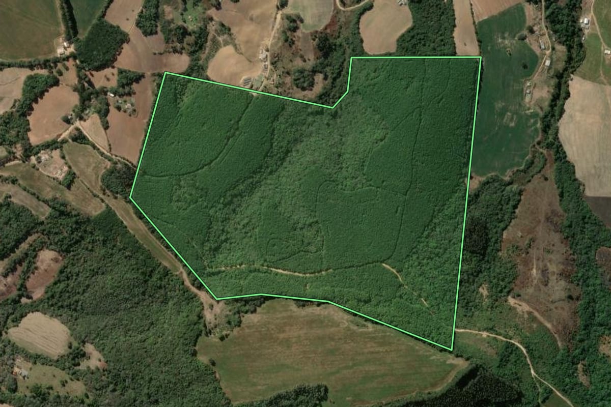 Imagem de satélite do imóvel rural em Ipiranga (PR), com o contorno declarado no CAR desenhado por cima.