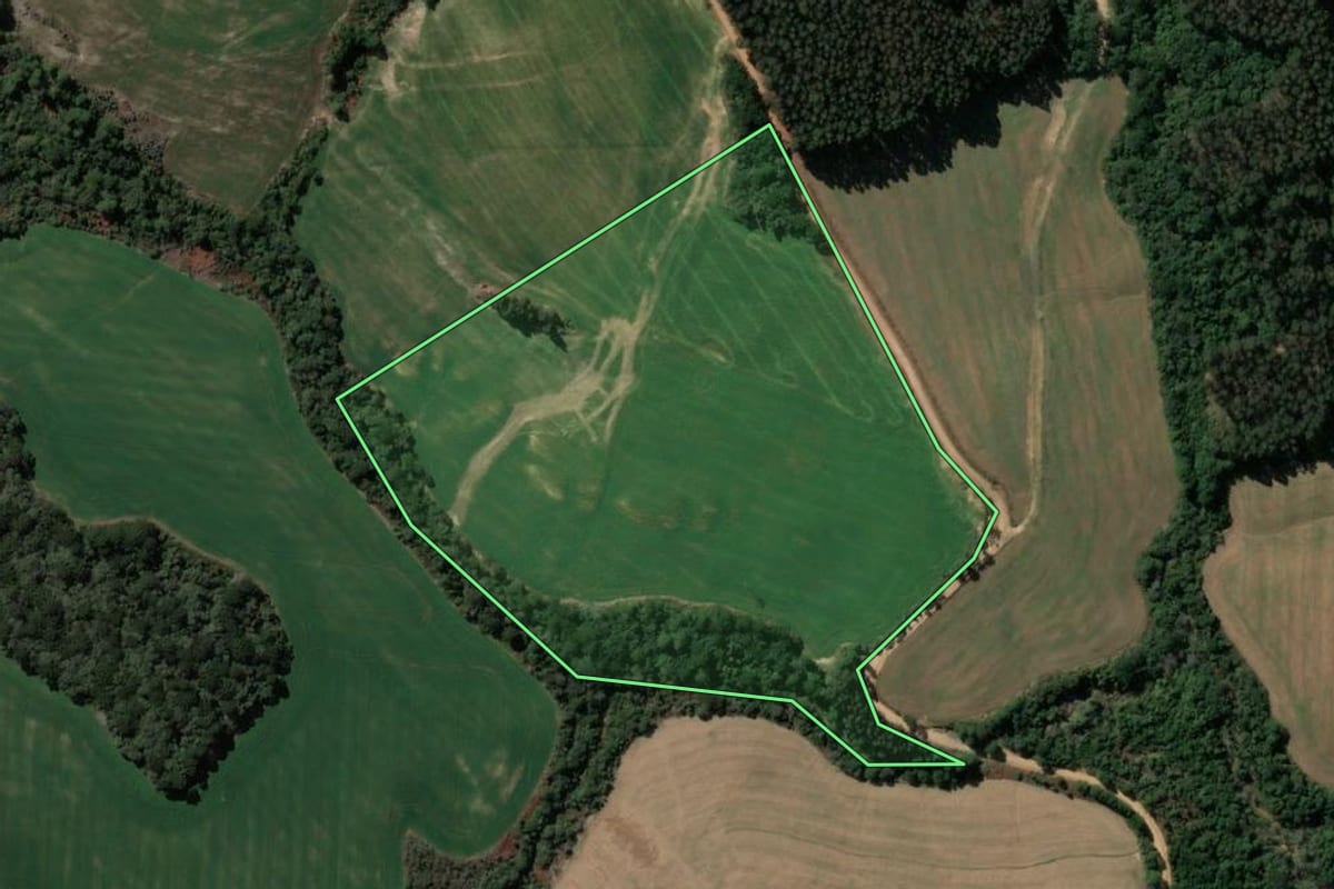 Imagem de satélite do imóvel rural em Ipiranga (PR), com o contorno declarado no CAR desenhado por cima.
