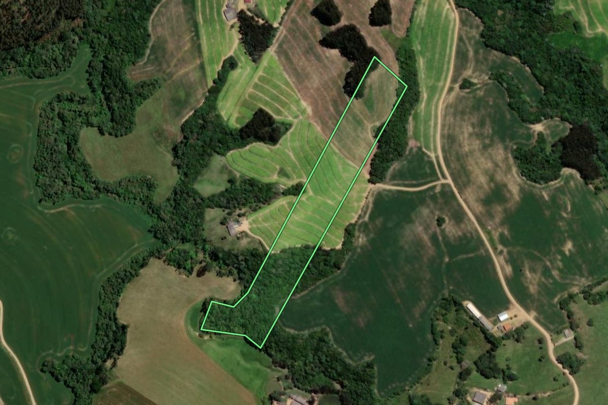 Imagem de satélite do imóvel rural em Ipiranga (PR), com o contorno declarado no CAR desenhado por cima.