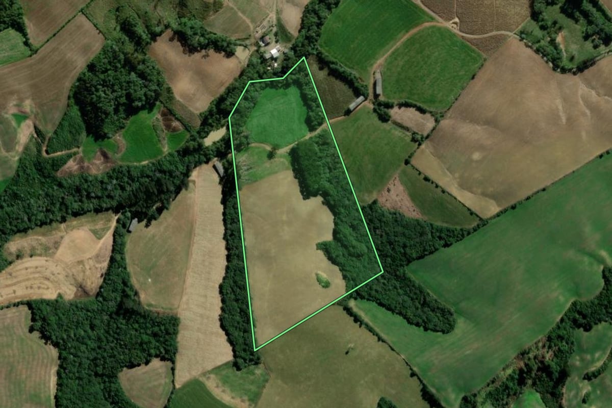 Imagem de satélite do imóvel rural em Ipiranga (PR), com o contorno declarado no CAR desenhado por cima.