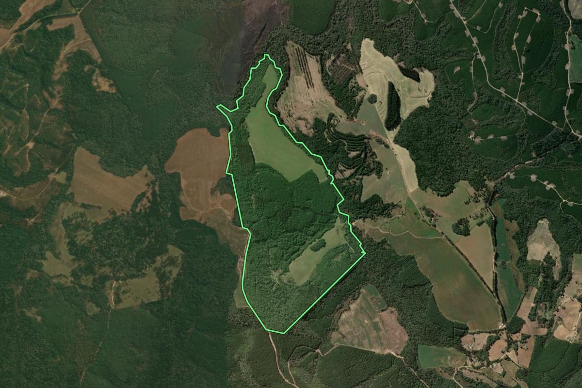 Imagem de satélite do imóvel rural em Ipiranga (PR), com o contorno declarado no CAR desenhado por cima.