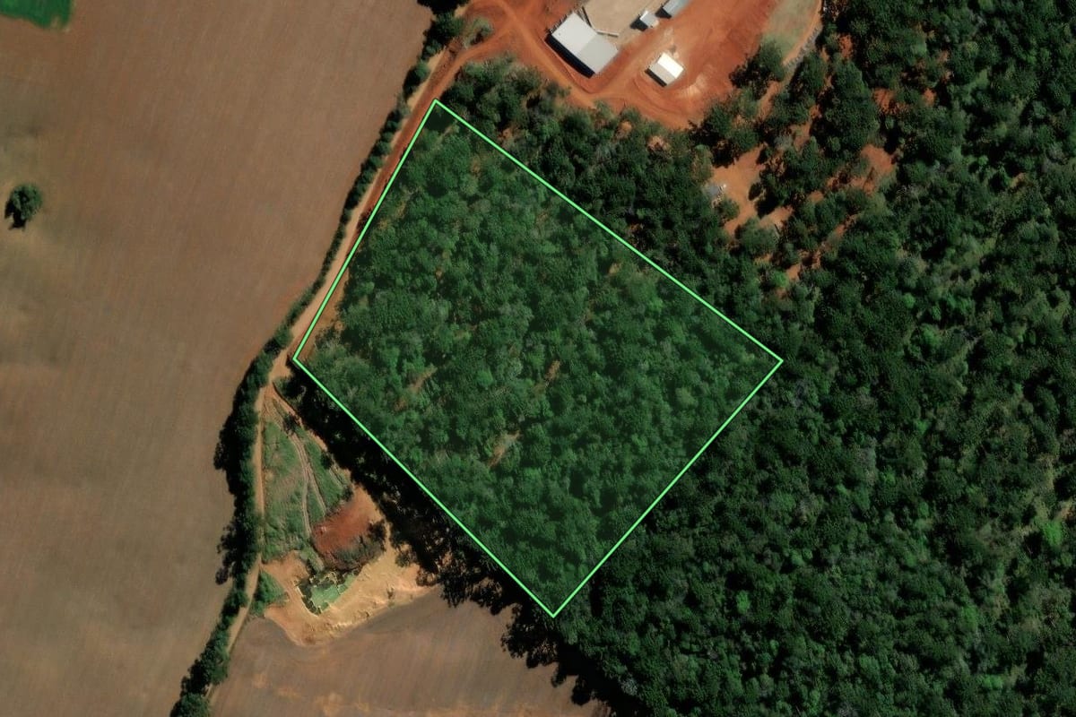Imagem de satélite do imóvel rural em Ipiranga (PR), com o contorno declarado no CAR desenhado por cima.