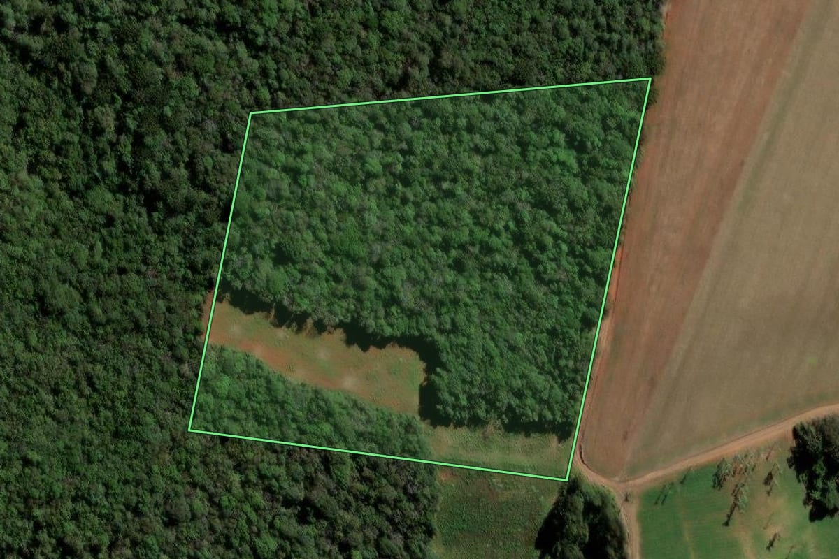 Imagem de satélite do imóvel rural em Ipiranga (PR), com o contorno declarado no CAR desenhado por cima.