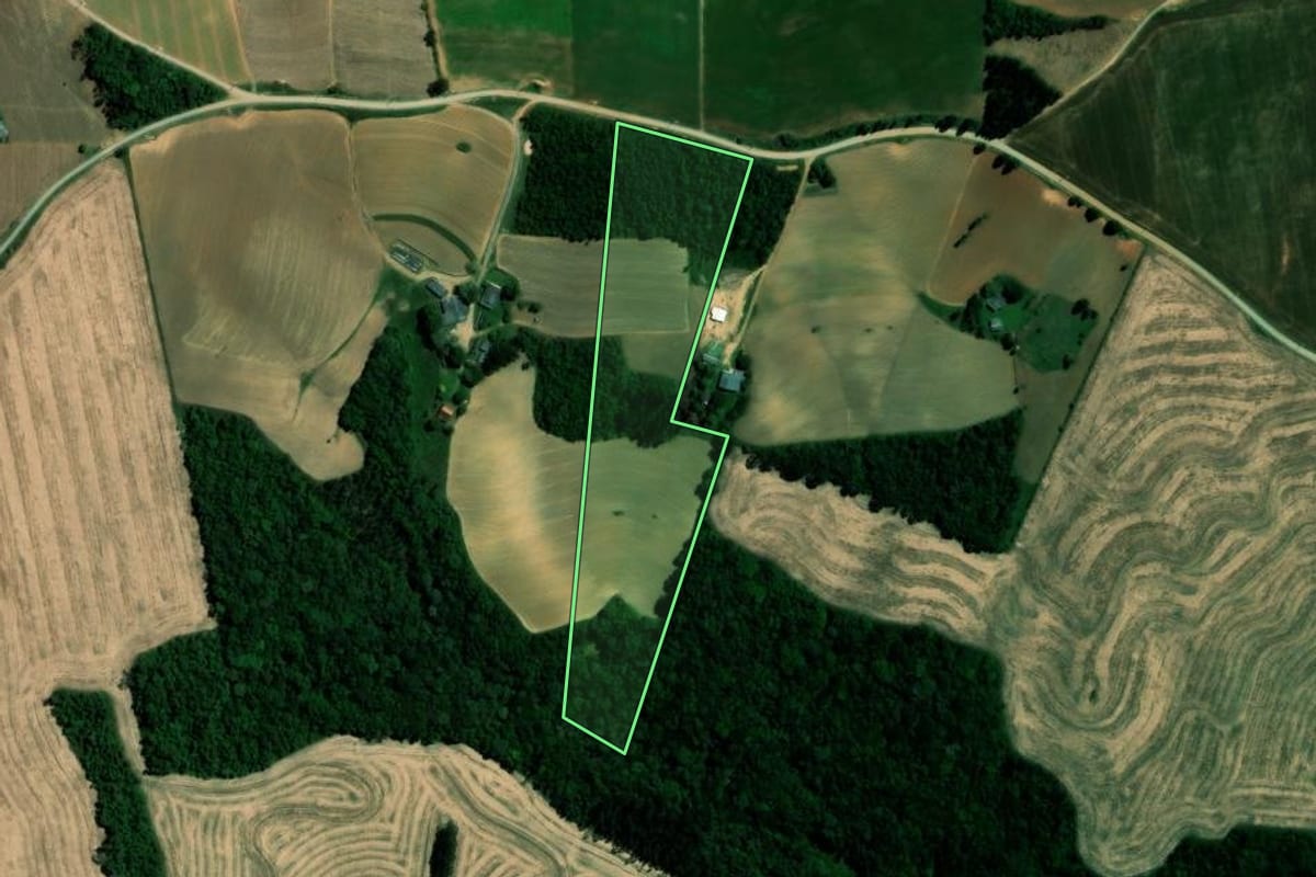 Imagem de satélite do imóvel rural em Ipiranga (PR), com o contorno declarado no CAR desenhado por cima.