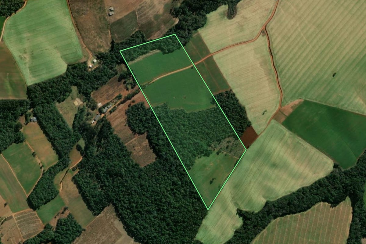 Imagem de satélite do imóvel rural em Ipiranga (PR), com o contorno declarado no CAR desenhado por cima.