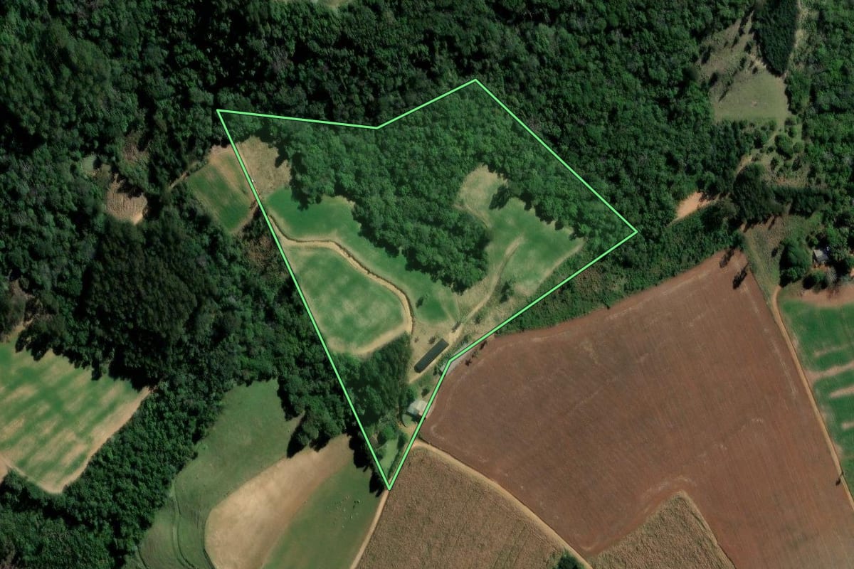 Imagem de satélite do imóvel rural em Ipiranga (PR), com o contorno declarado no CAR desenhado por cima.
