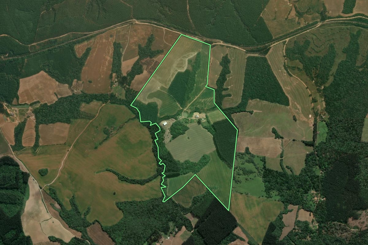 Imagem de satélite do imóvel rural em Ipiranga (PR), com o contorno declarado no CAR desenhado por cima.