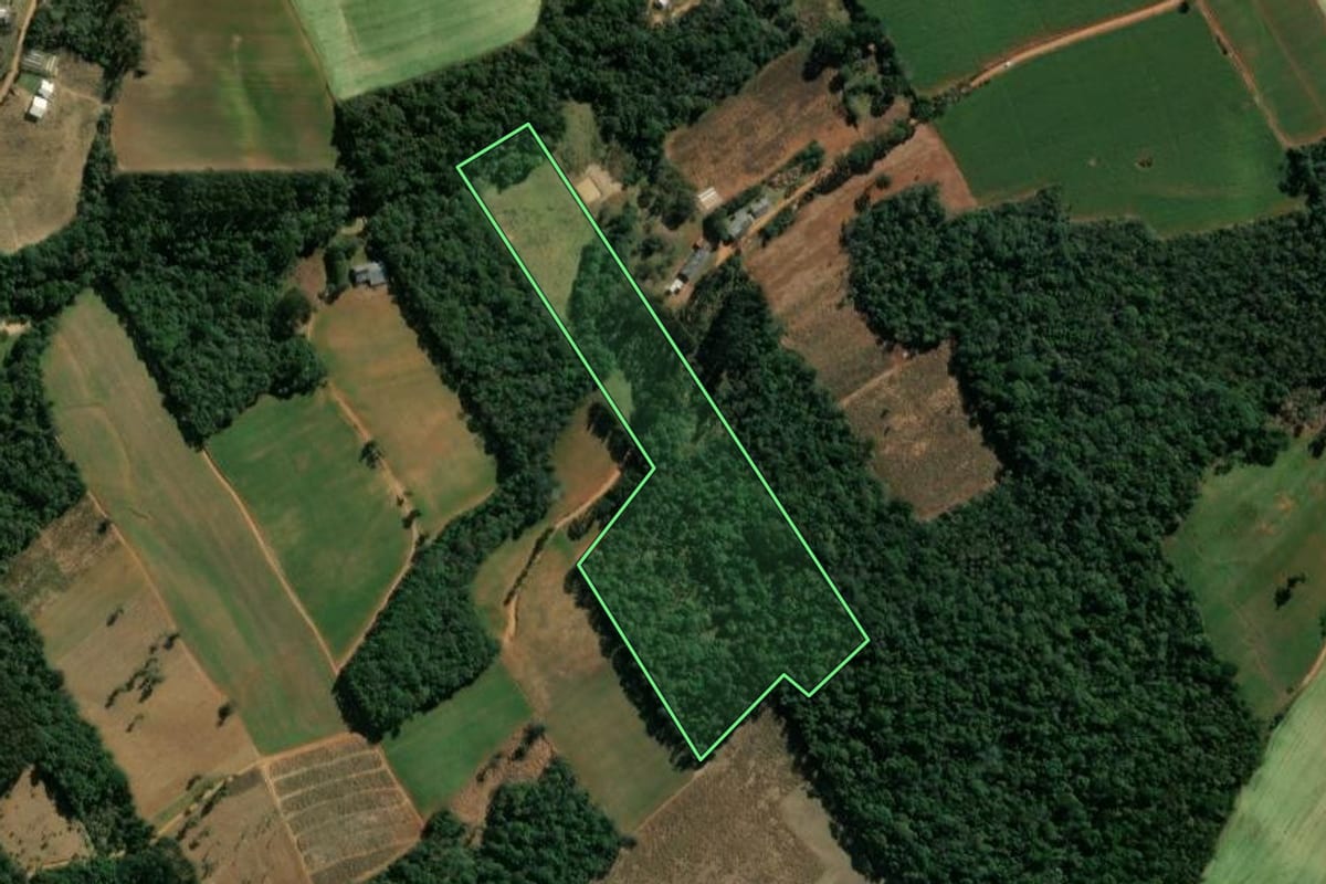 Imagem de satélite do imóvel rural em Ipiranga (PR), com o contorno declarado no CAR desenhado por cima.