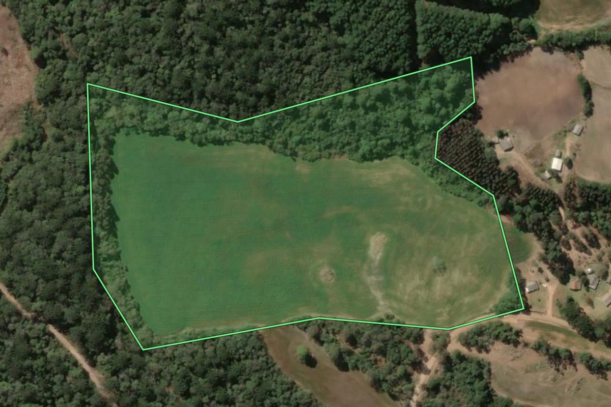 Imagem de satélite do imóvel rural em Ipiranga (PR), com o contorno declarado no CAR desenhado por cima.