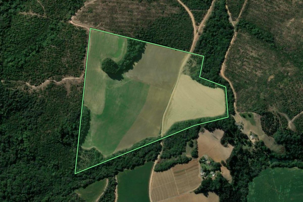 Imagem de satélite do imóvel rural em Ipiranga (PR), com o contorno declarado no CAR desenhado por cima.