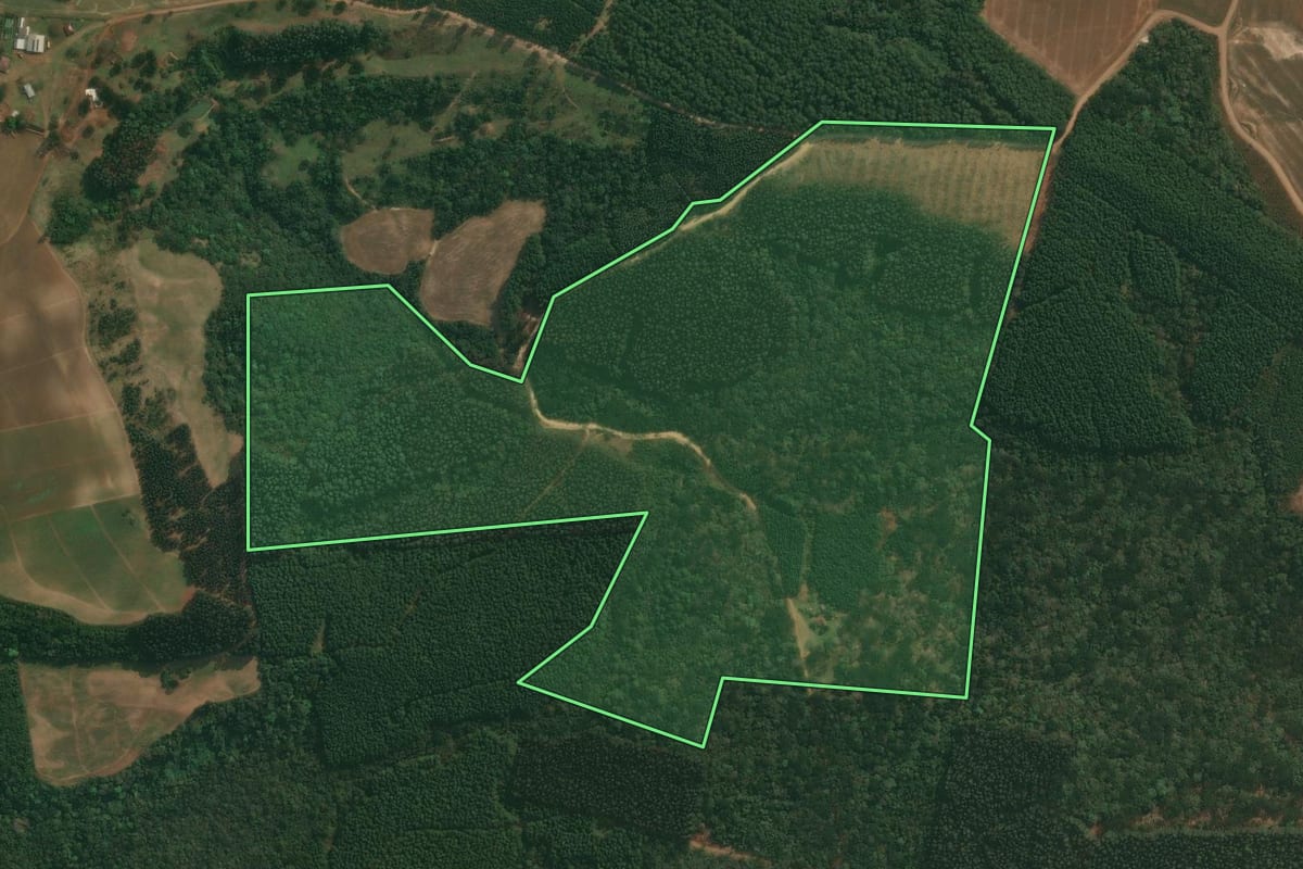 Imagem de satélite do imóvel rural em Ipiranga (PR), com o contorno declarado no CAR desenhado por cima.