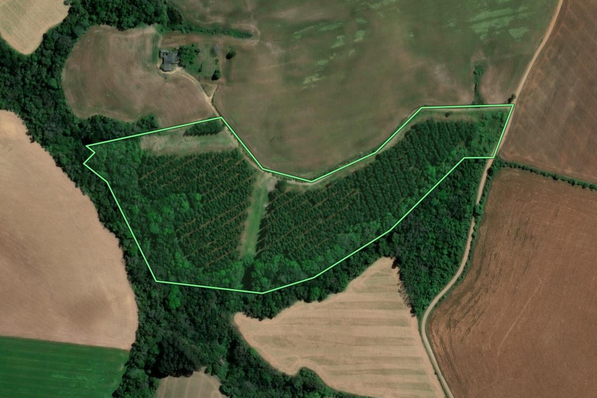 Imagem de satélite do imóvel rural em Ipiranga (PR), com o contorno declarado no CAR desenhado por cima.