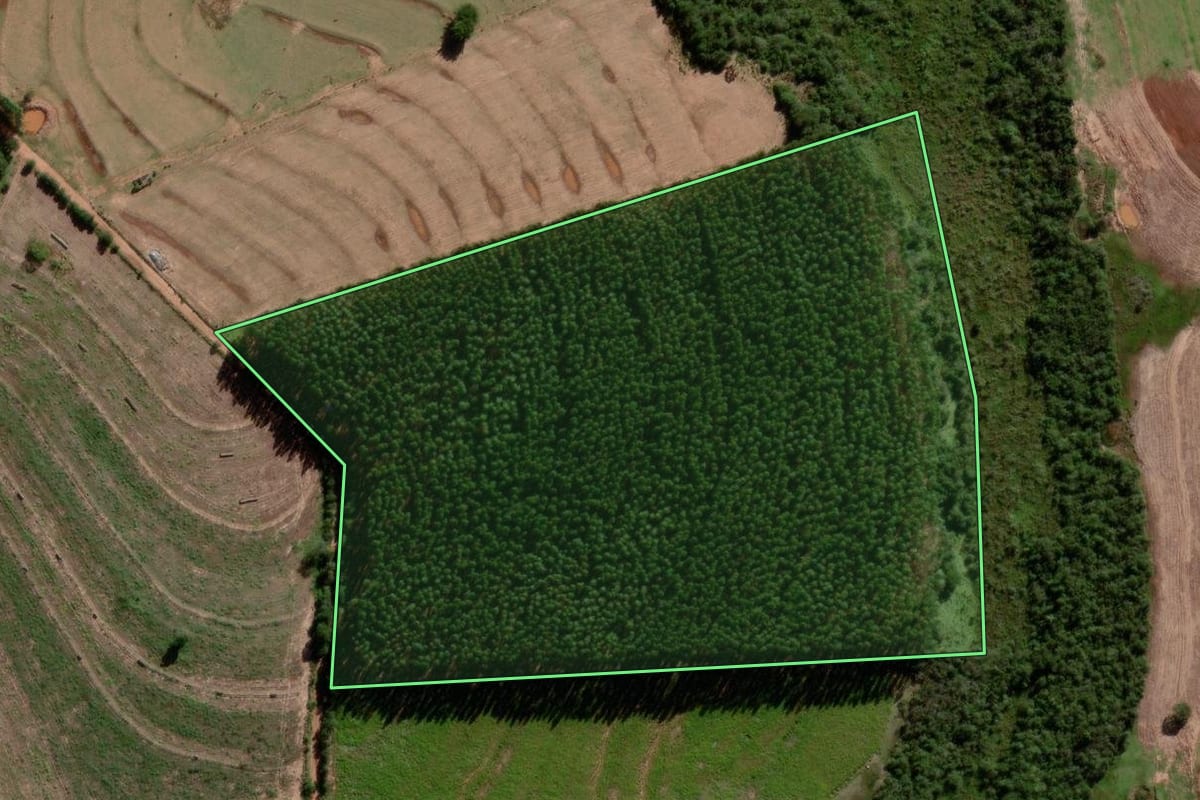 Imagem de satélite do imóvel rural em Iporã (PR), com o contorno declarado no CAR desenhado por cima.