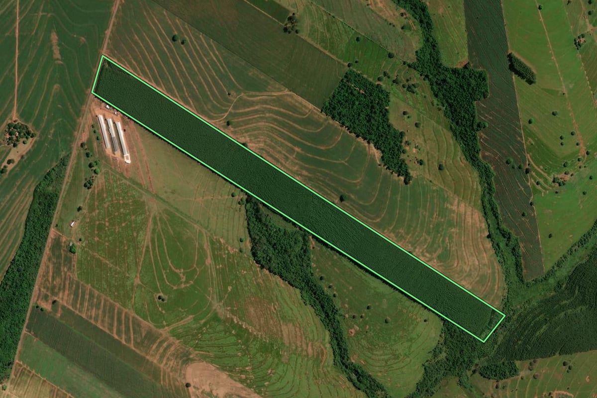 Imagem de satélite do imóvel rural em Iporã (PR), com o contorno declarado no CAR desenhado por cima.