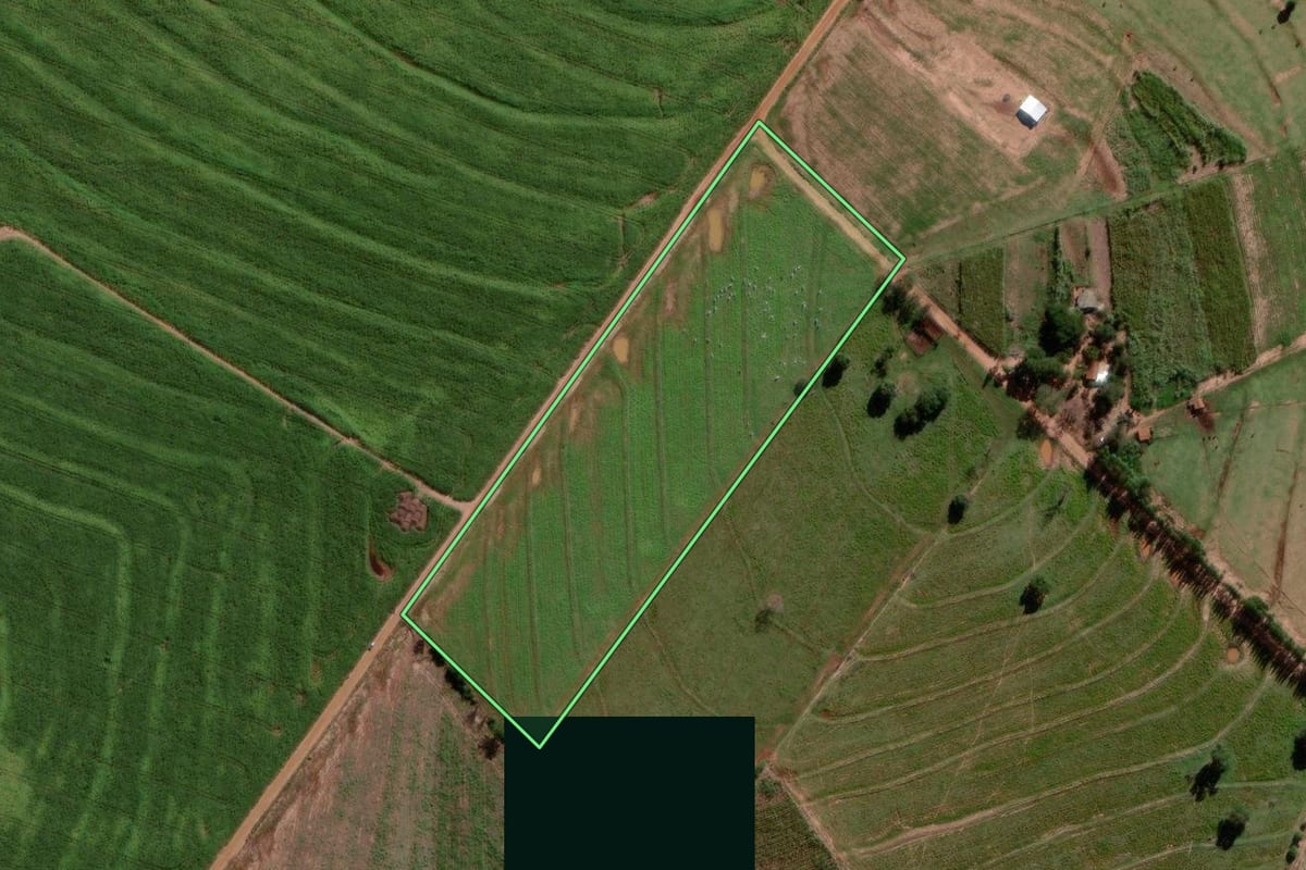 Imagem de satélite do imóvel rural em Iporã (PR), com o contorno declarado no CAR desenhado por cima.