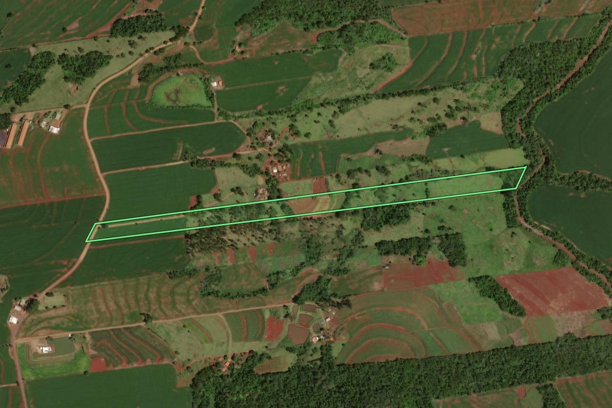 Imagem de satélite do imóvel rural em Iracema do Oeste (PR), com o contorno declarado no CAR desenhado por cima.
