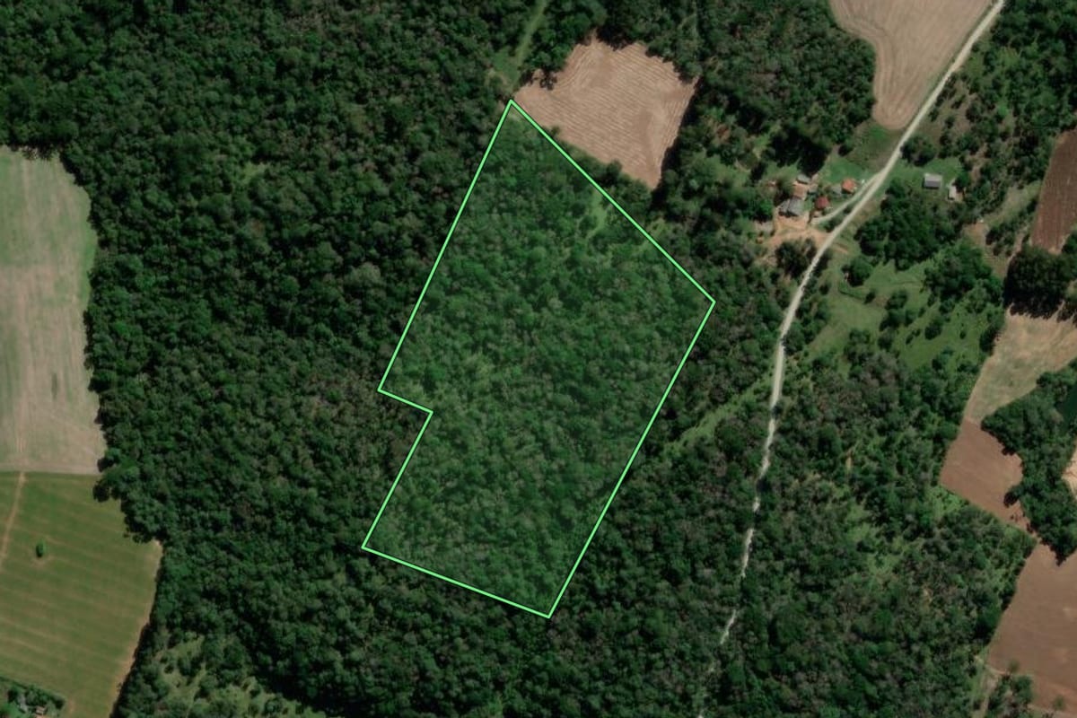 Imagem de satélite do imóvel rural em Irati (PR), com o contorno declarado no CAR desenhado por cima.