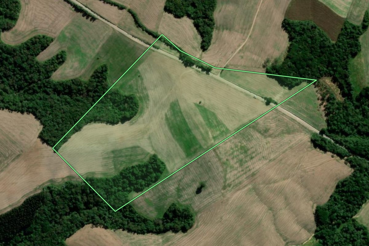 Imagem de satélite do imóvel rural em Irati (PR), com o contorno declarado no CAR desenhado por cima.