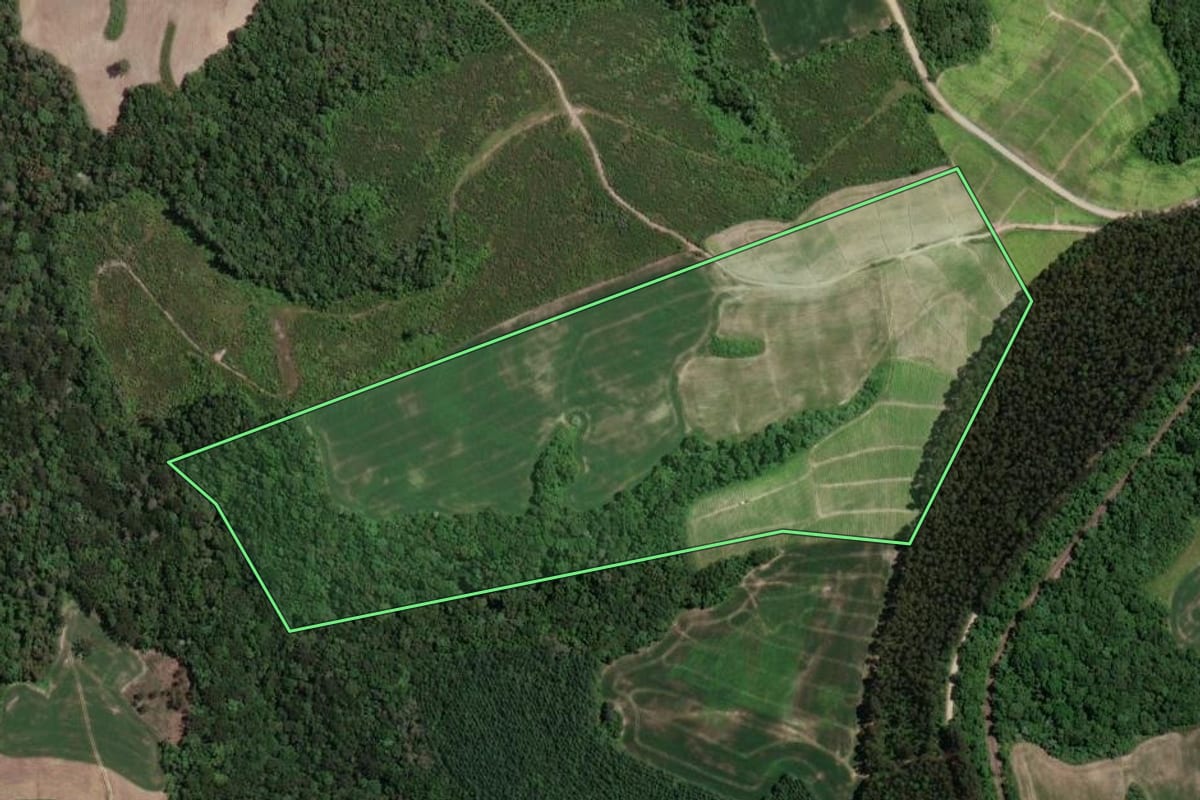 Imagem de satélite do imóvel rural em Irati (PR), com o contorno declarado no CAR desenhado por cima.