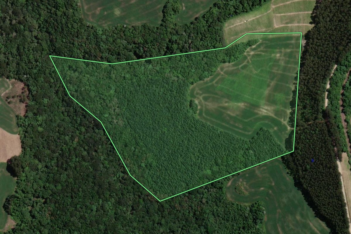 Imagem de satélite do imóvel rural em Irati (PR), com o contorno declarado no CAR desenhado por cima.
