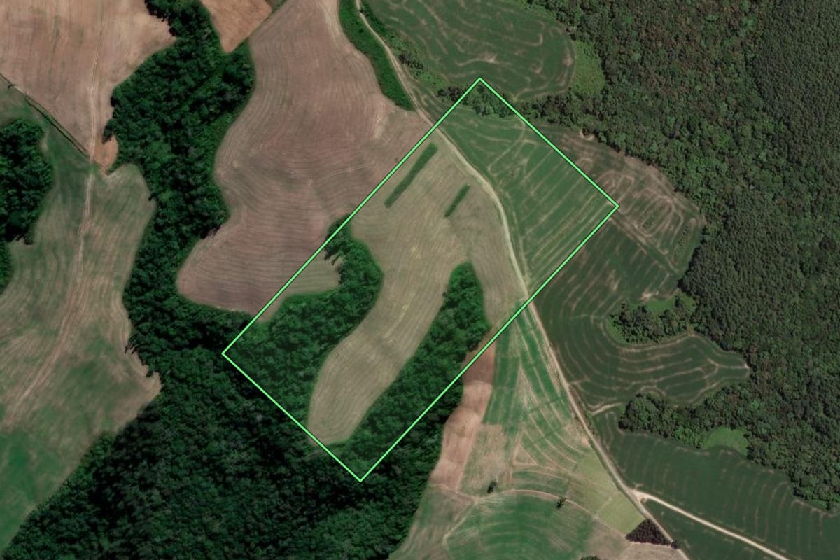 Imagem de satélite do imóvel rural em Irati (PR), com o contorno declarado no CAR desenhado por cima.