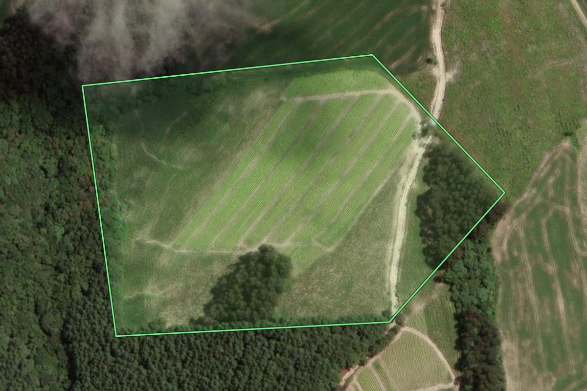 Imagem de satélite do imóvel rural em Irati (PR), com o contorno declarado no CAR desenhado por cima.