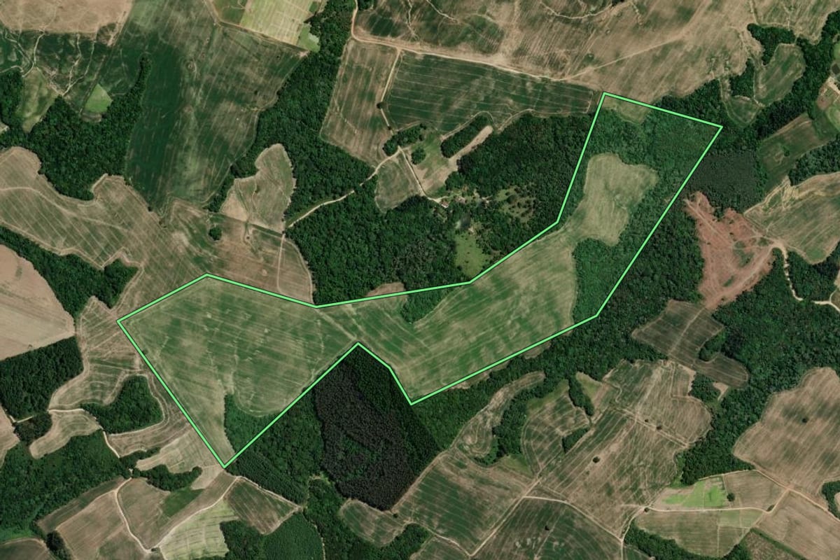 Imagem de satélite do imóvel rural em Irati (PR), com o contorno declarado no CAR desenhado por cima.
