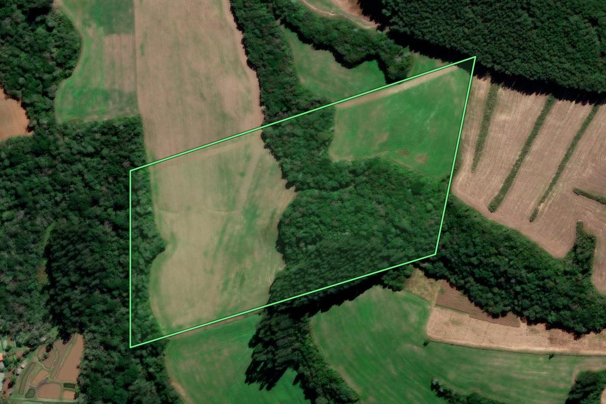 Imagem de satélite do imóvel rural em Irati (PR), com o contorno declarado no CAR desenhado por cima.
