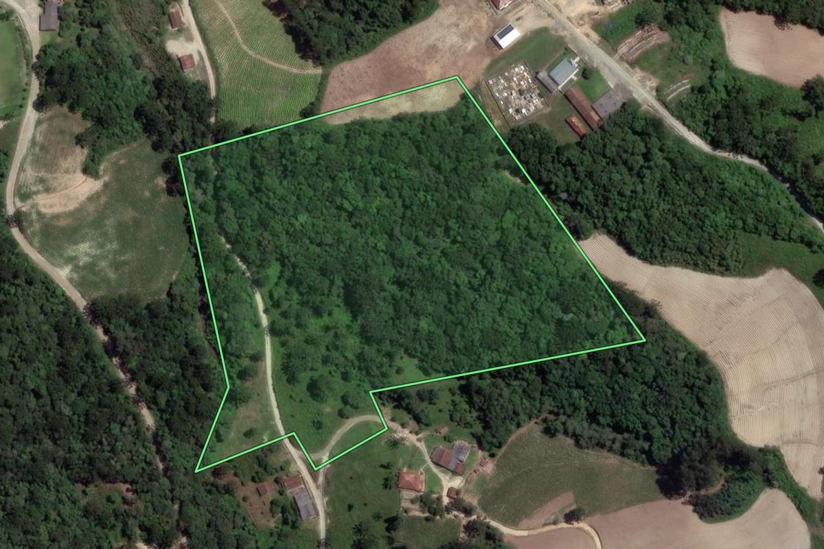 Imagem de satélite do imóvel rural em Irati (PR), com o contorno declarado no CAR desenhado por cima.