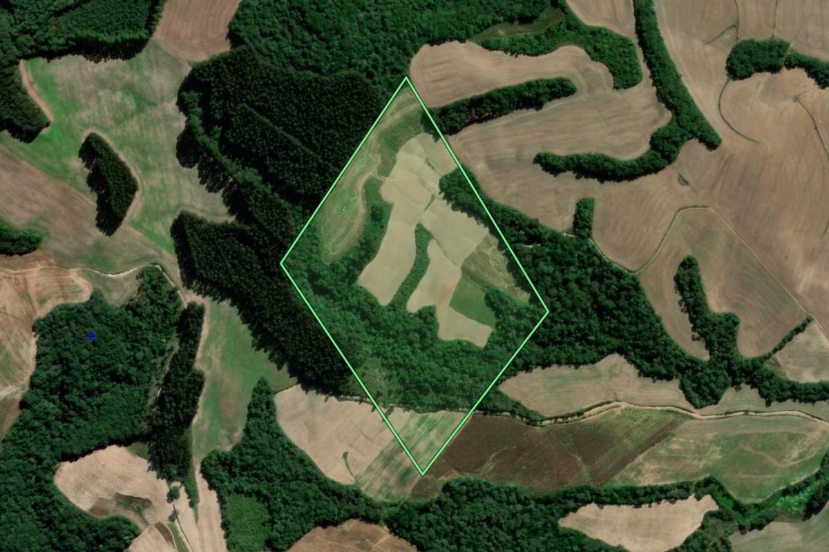 Imagem de satélite do imóvel rural em Irati (PR), com o contorno declarado no CAR desenhado por cima.