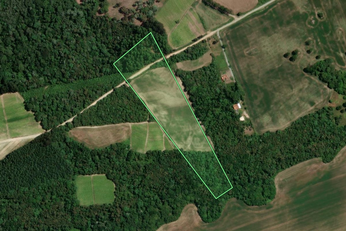 Imagem de satélite do imóvel rural em Irati (PR), com o contorno declarado no CAR desenhado por cima.