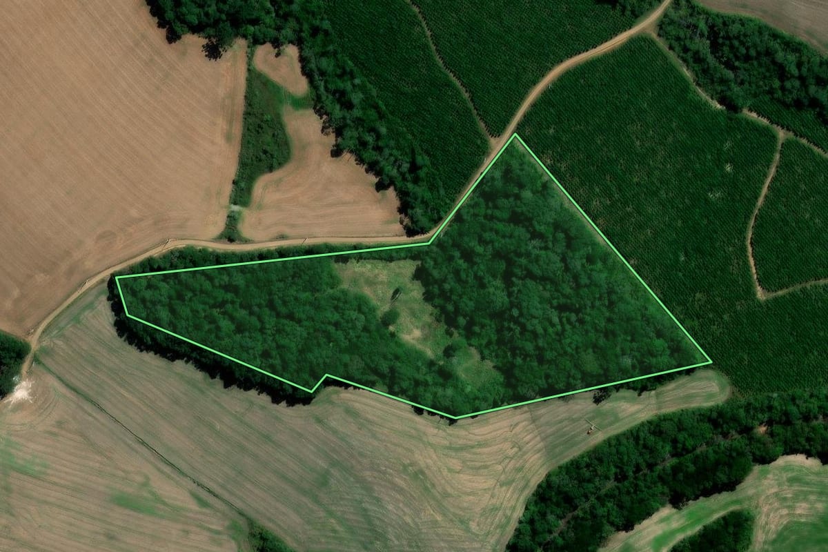 Imagem de satélite do imóvel rural em Irati (PR), com o contorno declarado no CAR desenhado por cima.