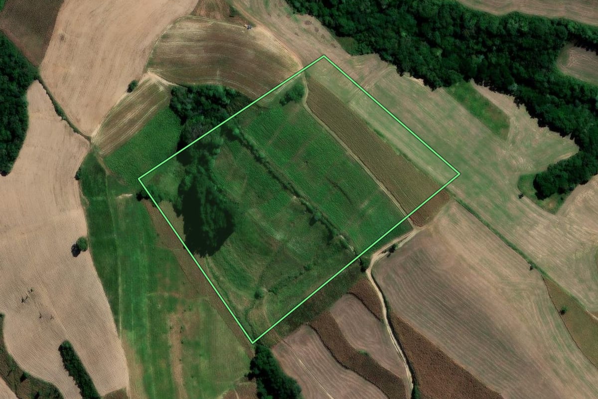Imagem de satélite do imóvel rural em Irati (PR), com o contorno declarado no CAR desenhado por cima.