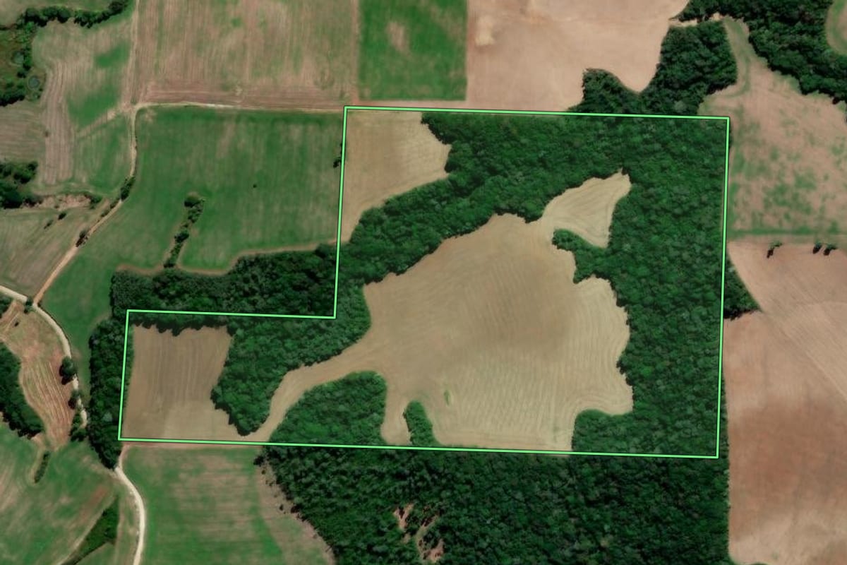 Imagem de satélite do imóvel rural em Irati (PR), com o contorno declarado no CAR desenhado por cima.