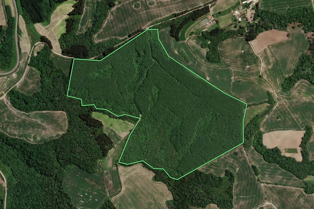 Imagem de satélite do imóvel rural em Irati (PR), com o contorno declarado no CAR desenhado por cima.