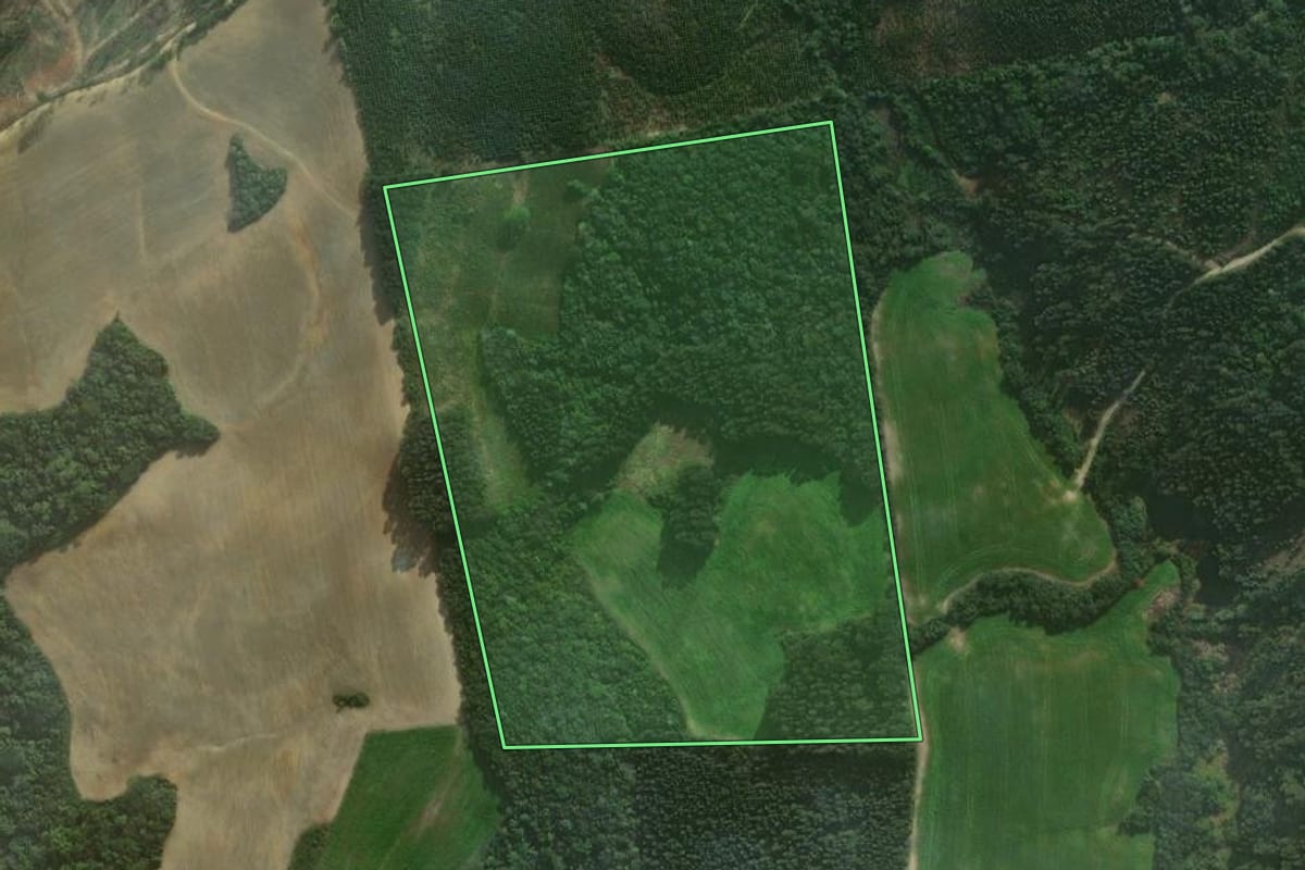 Imagem de satélite do imóvel rural em Irati (PR), com o contorno declarado no CAR desenhado por cima.