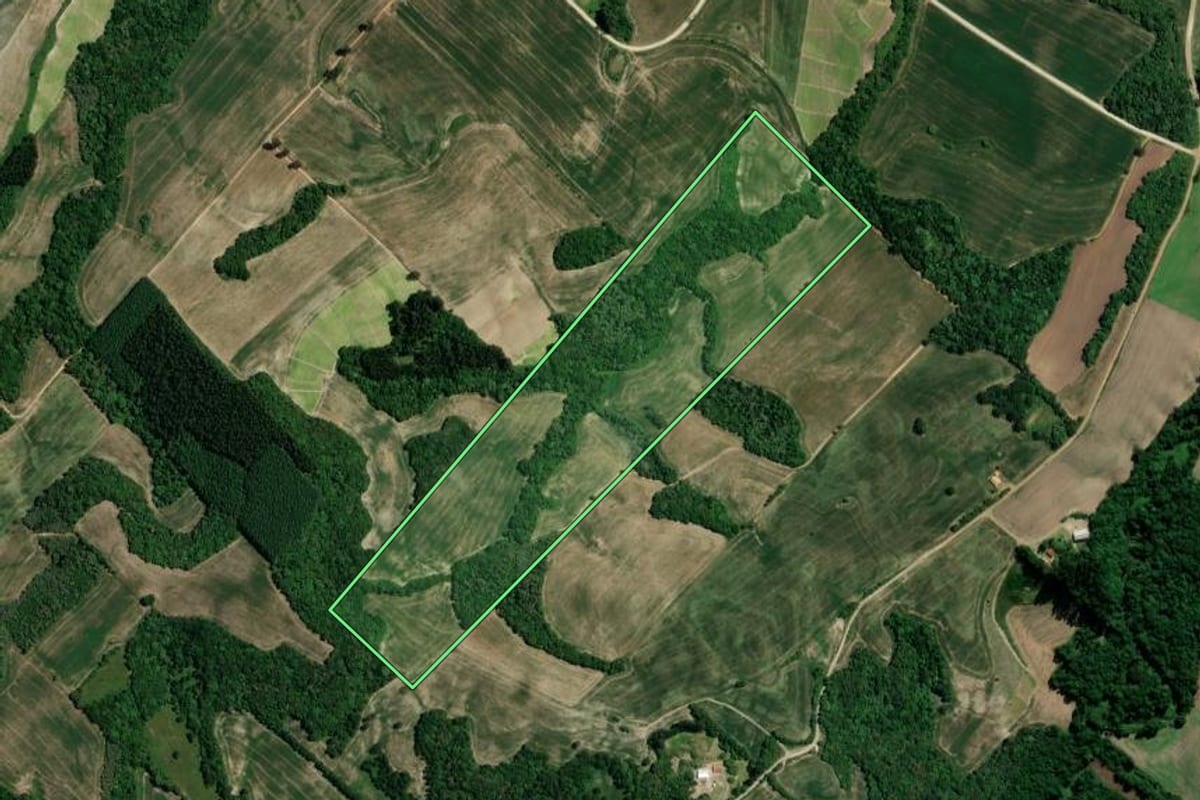 Imagem de satélite do imóvel rural em Irati (PR), com o contorno declarado no CAR desenhado por cima.