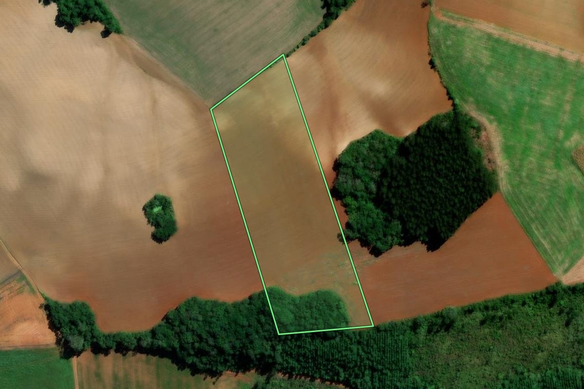 Imagem de satélite do imóvel rural em Irati (PR), com o contorno declarado no CAR desenhado por cima.