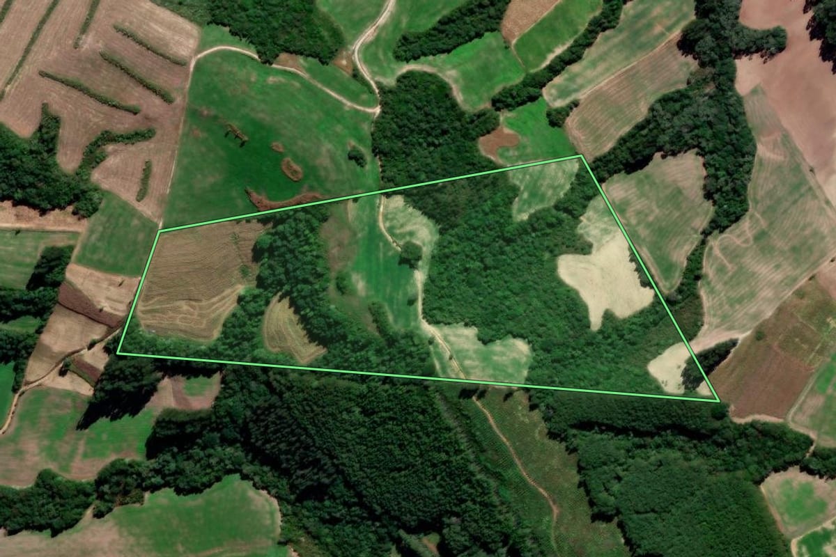 Imagem de satélite do imóvel rural em Irati (PR), com o contorno declarado no CAR desenhado por cima.