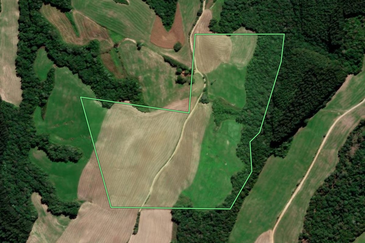 Imagem de satélite do imóvel rural em Irati (PR), com o contorno declarado no CAR desenhado por cima.