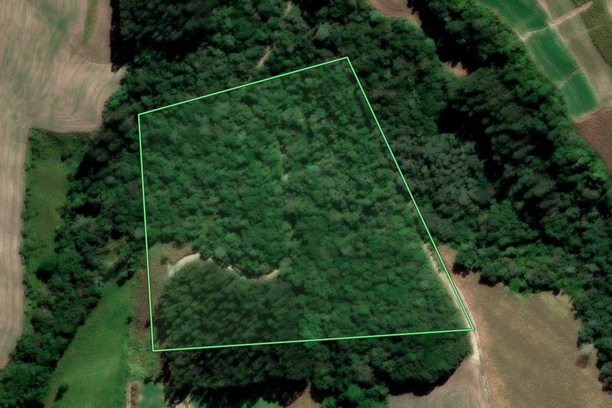 Imagem de satélite do imóvel rural em Irati (PR), com o contorno declarado no CAR desenhado por cima.
