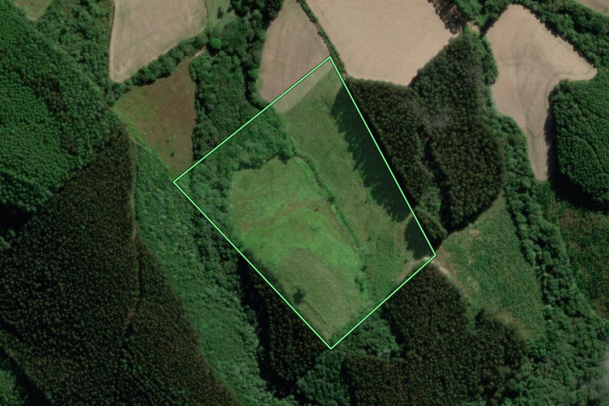 Imagem de satélite do imóvel rural em Irati (PR), com o contorno declarado no CAR desenhado por cima.