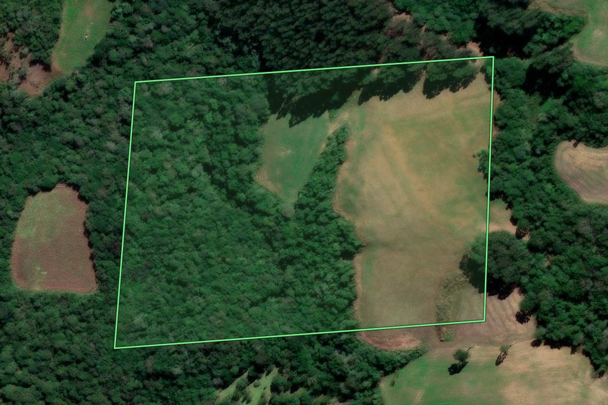 Imagem de satélite do imóvel rural em Irati (PR), com o contorno declarado no CAR desenhado por cima.