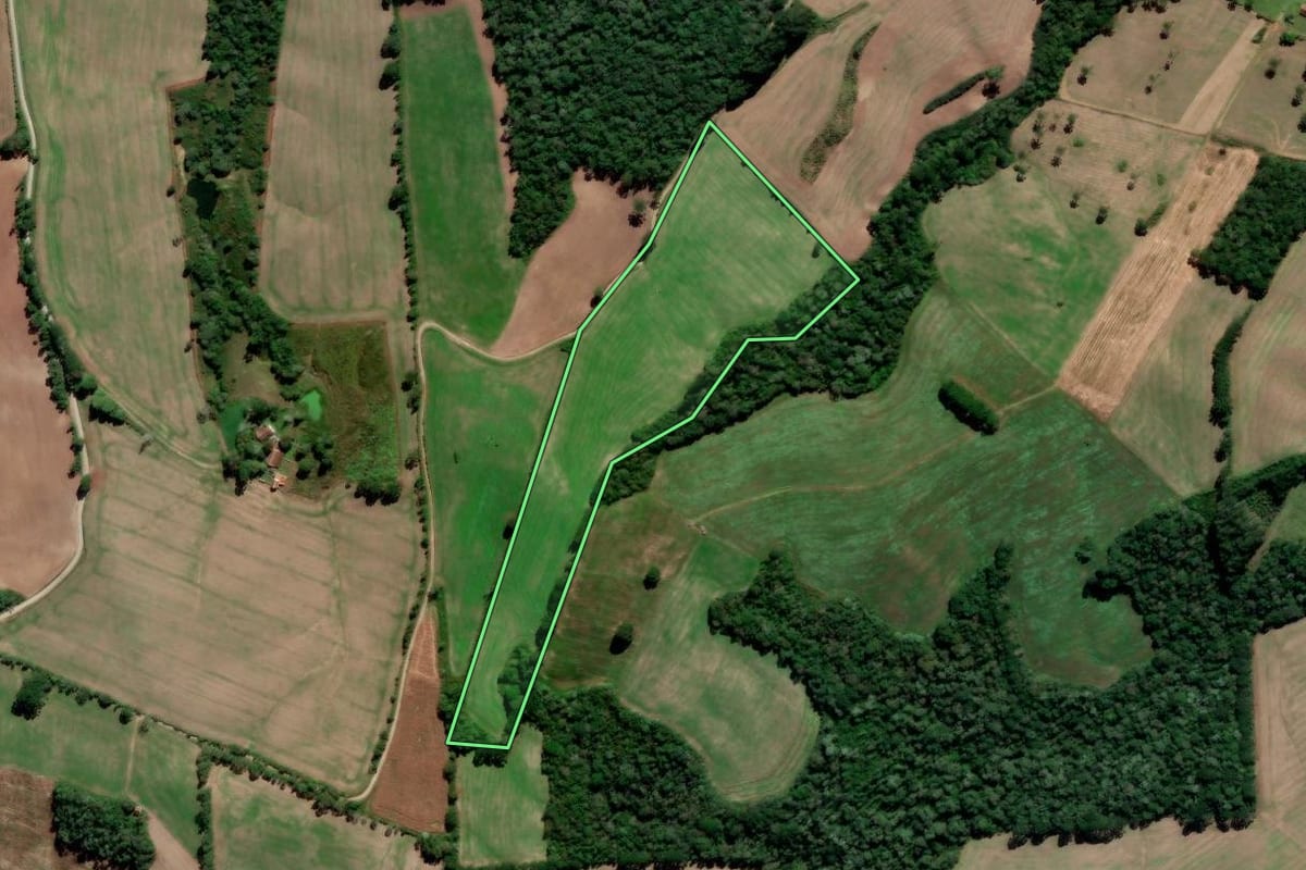 Imagem de satélite do imóvel rural em Irati (PR), com o contorno declarado no CAR desenhado por cima.
