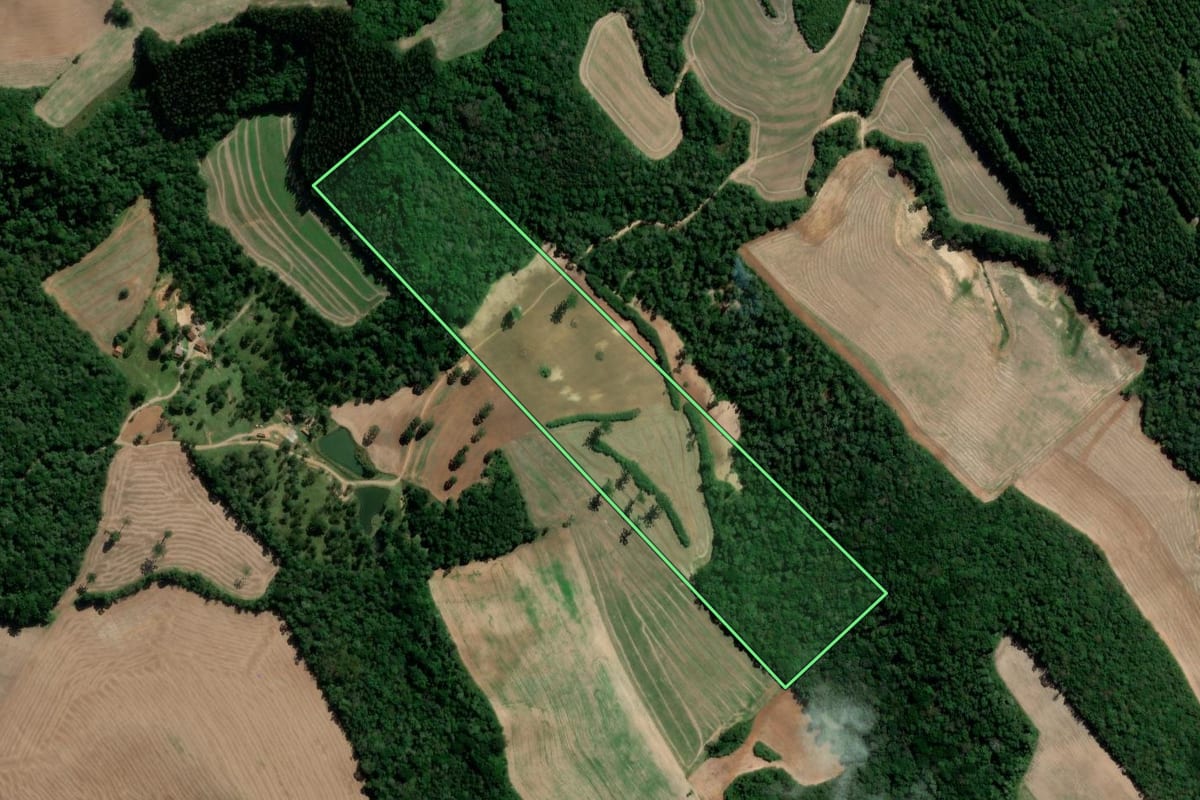 Imagem de satélite do imóvel rural em Irati (PR), com o contorno declarado no CAR desenhado por cima.