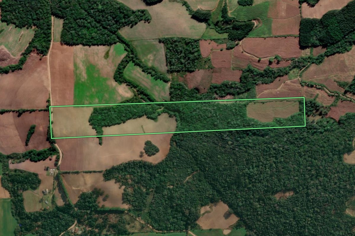 Imagem de satélite do imóvel rural em Irati (PR), com o contorno declarado no CAR desenhado por cima.