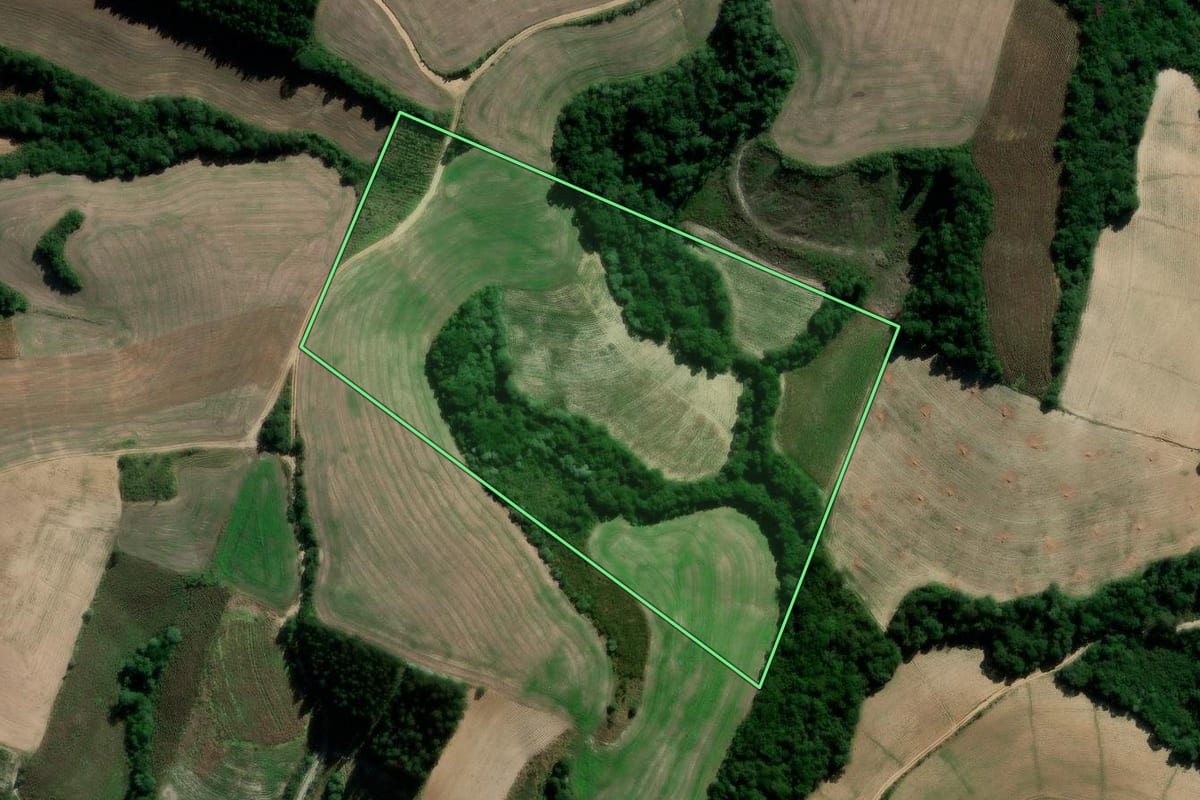 Imagem de satélite do imóvel rural em Irati (PR), com o contorno declarado no CAR desenhado por cima.