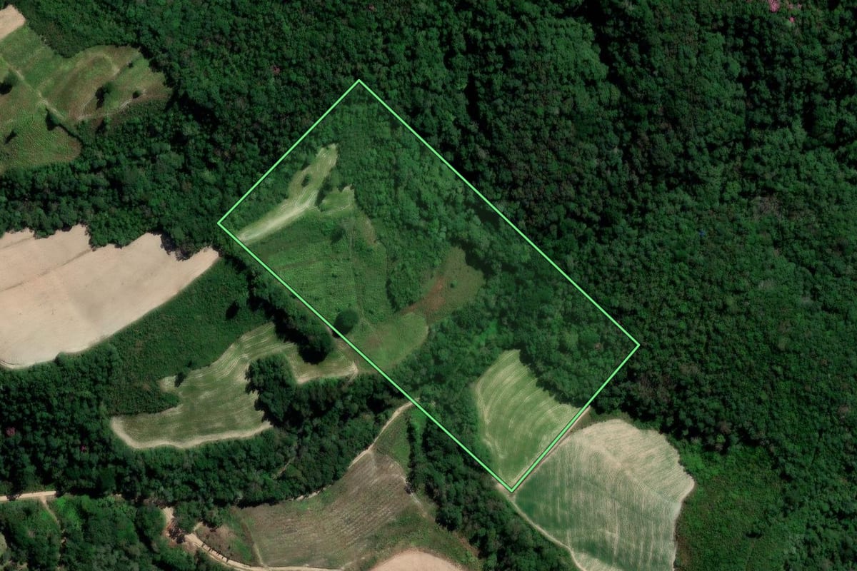 Imagem de satélite do imóvel rural em Irati (PR), com o contorno declarado no CAR desenhado por cima.