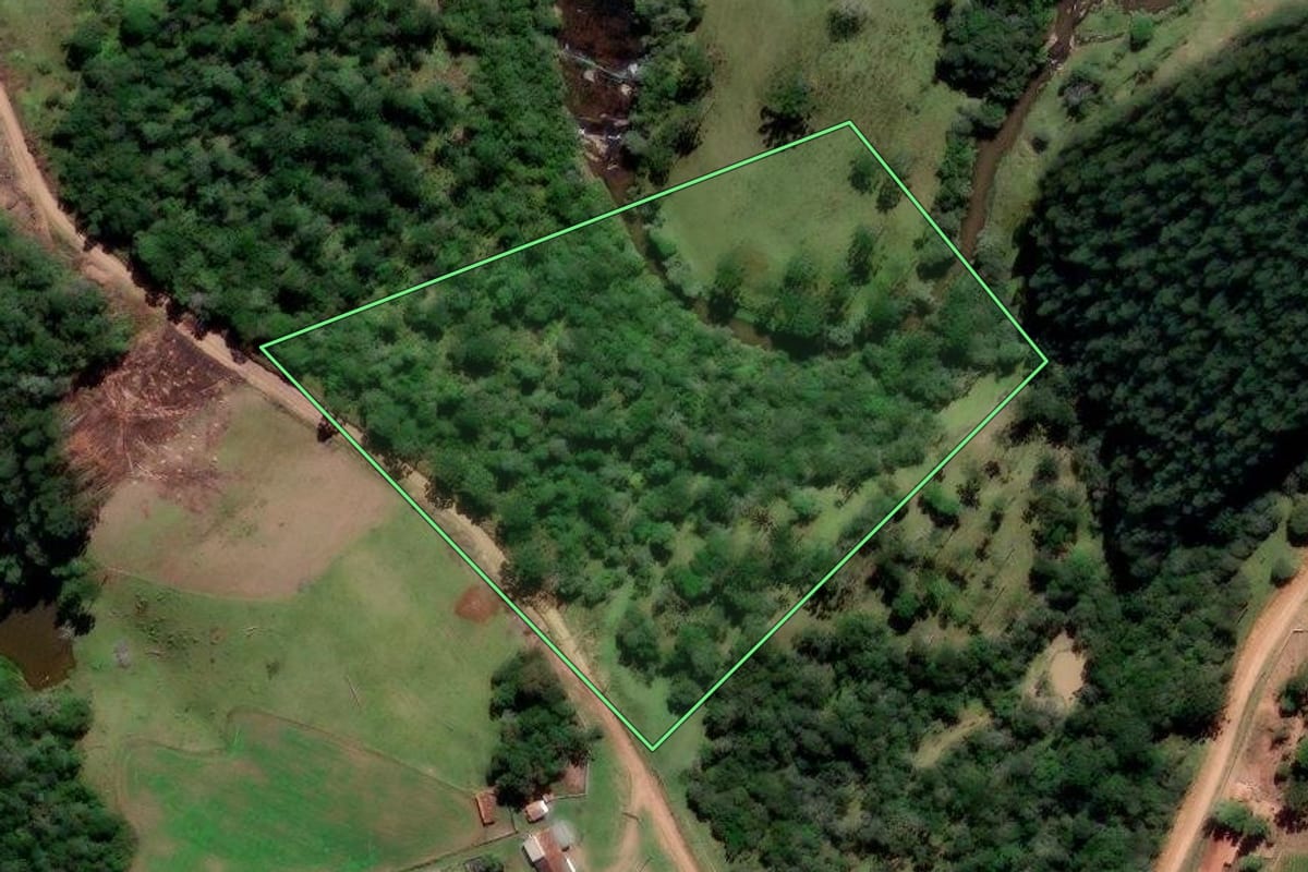 Imagem de satélite do imóvel rural em Irati (PR), com o contorno declarado no CAR desenhado por cima.