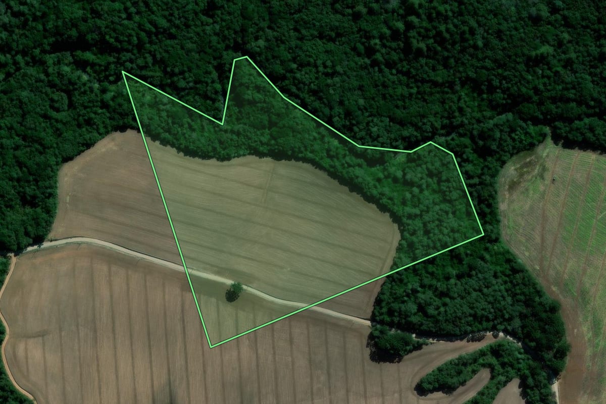 Imagem de satélite do imóvel rural em Irati (PR), com o contorno declarado no CAR desenhado por cima.